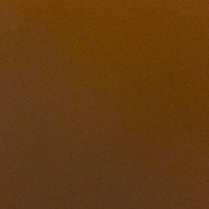 Meet your Posher, Mya